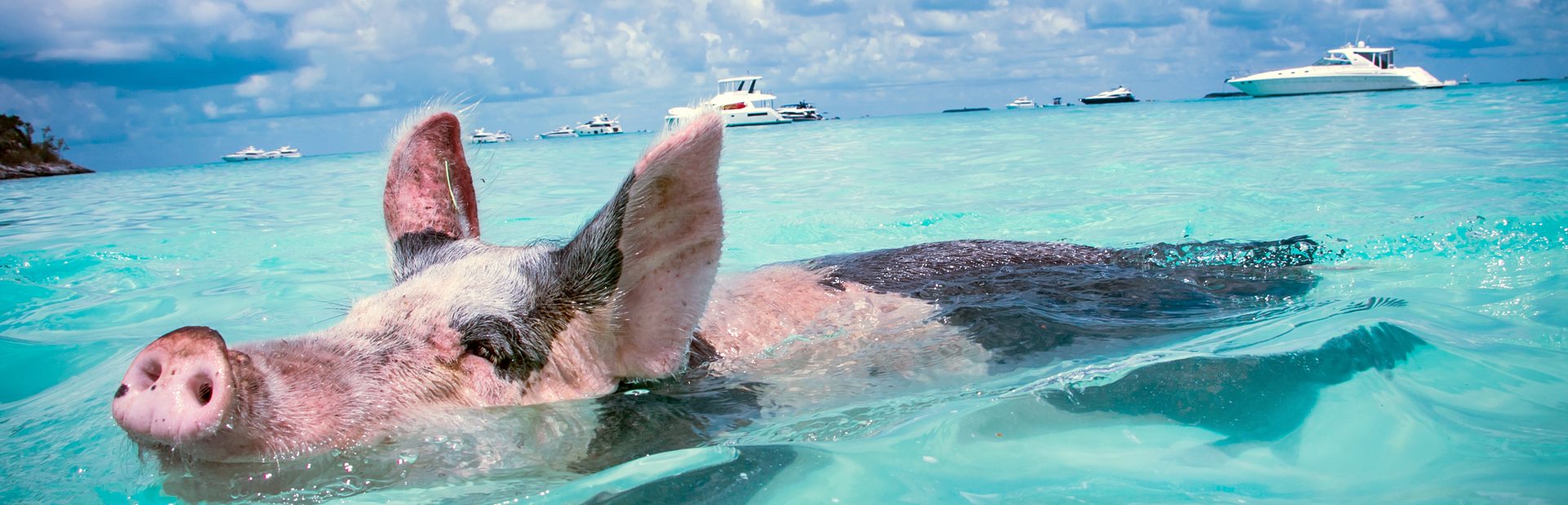 Bahamas guide