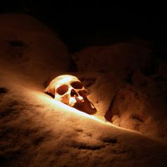 Human skull from ancient times