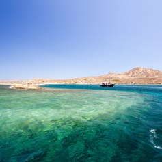 Delos photo 24