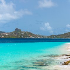 St Vincent and the Grenadines photo 17