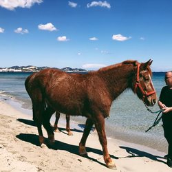 Tanit Beach Photo 20
