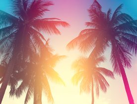 6 of the Best Things to do on a Miami Yacht Charter