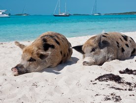 The Best Secluded Anchorages in the Bahamas 