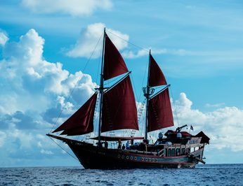 Manta Mae photo 5