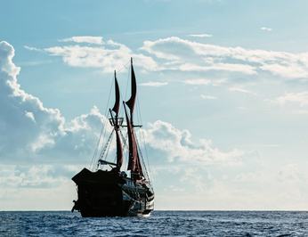 Manta Mae photo 53