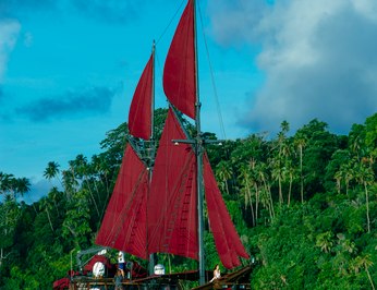 Manta Mae photo 39