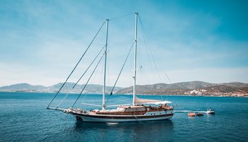Wicked Felina charter yacht