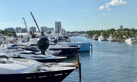 FLIBS 2019: A vintage year?