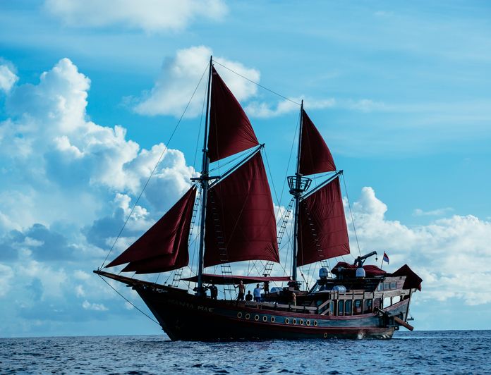 Manta Mae photo 55